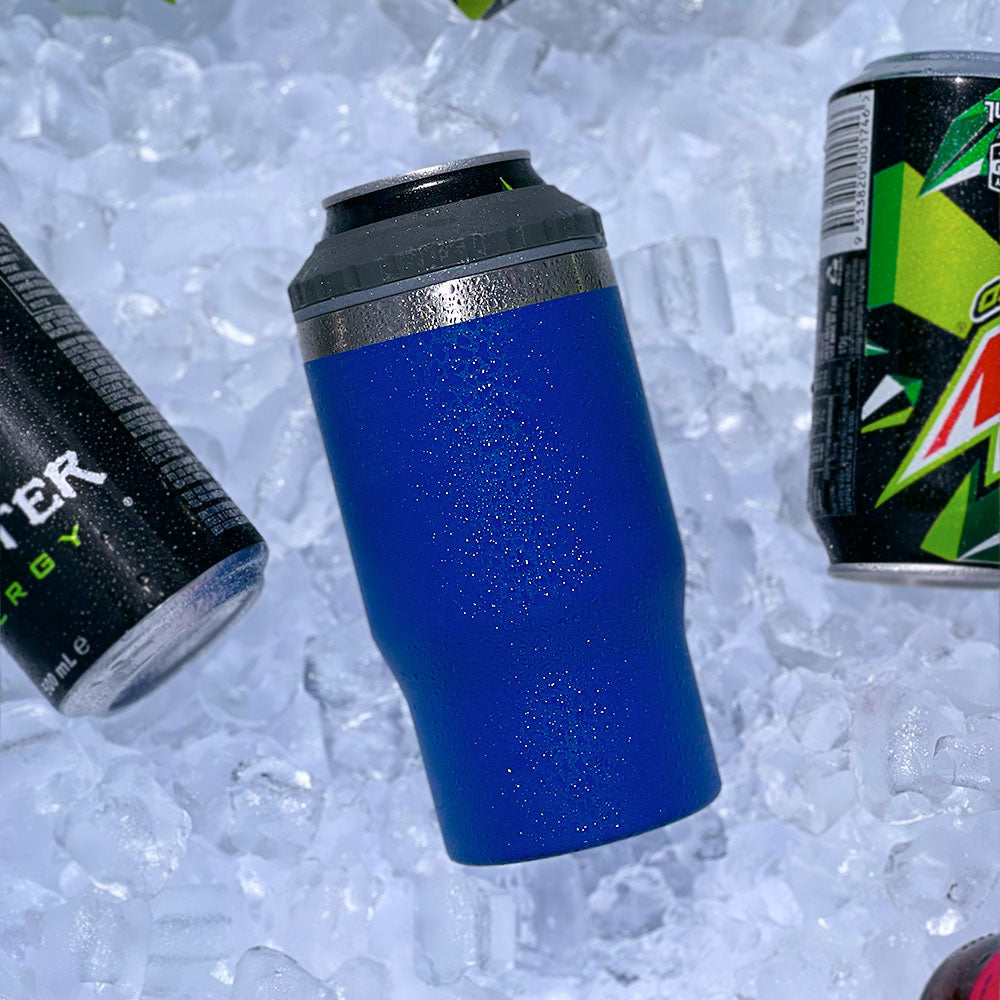 BEVSKY 4 in 1 Premium Drink Cooler